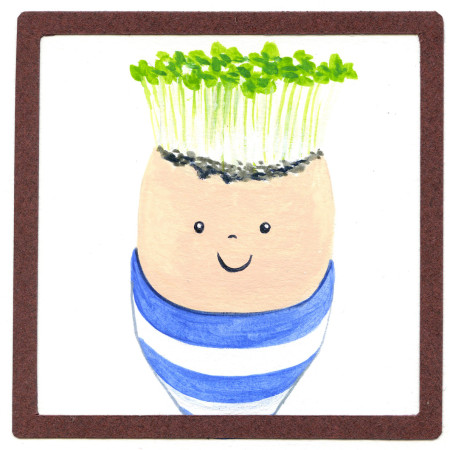 How to make a cress man using an egg shell