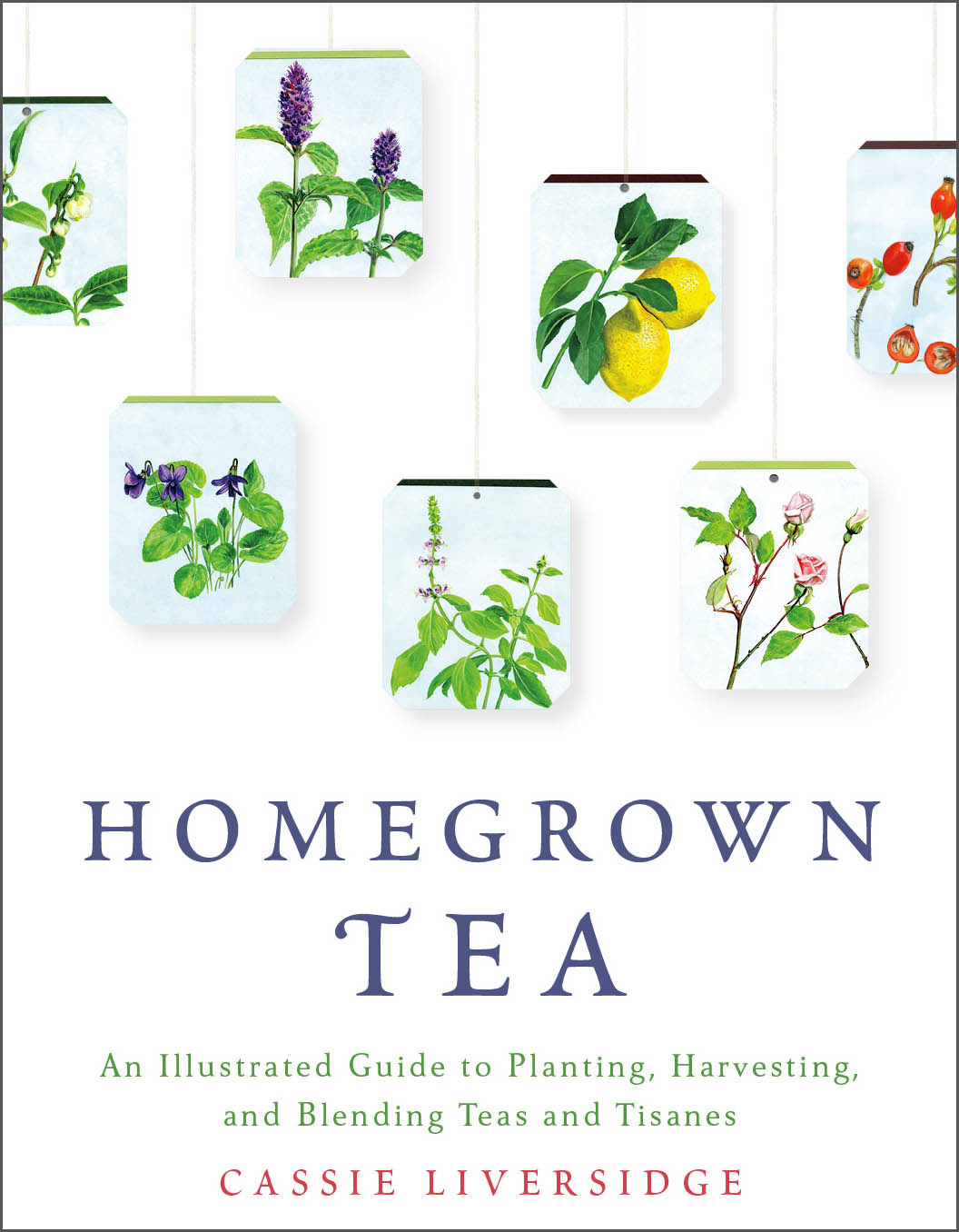 Homegrown tea 