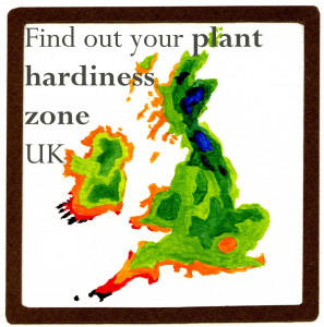 UK-Hardiness-E